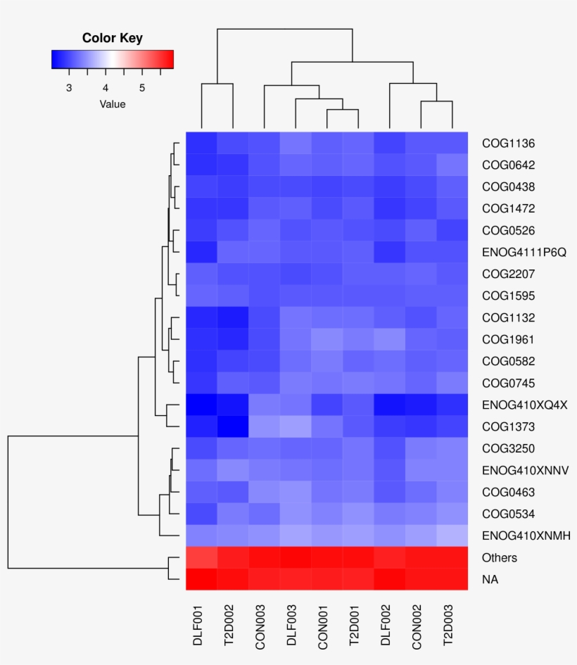 Eggnog Nog Heatmap, transparent png #6939813