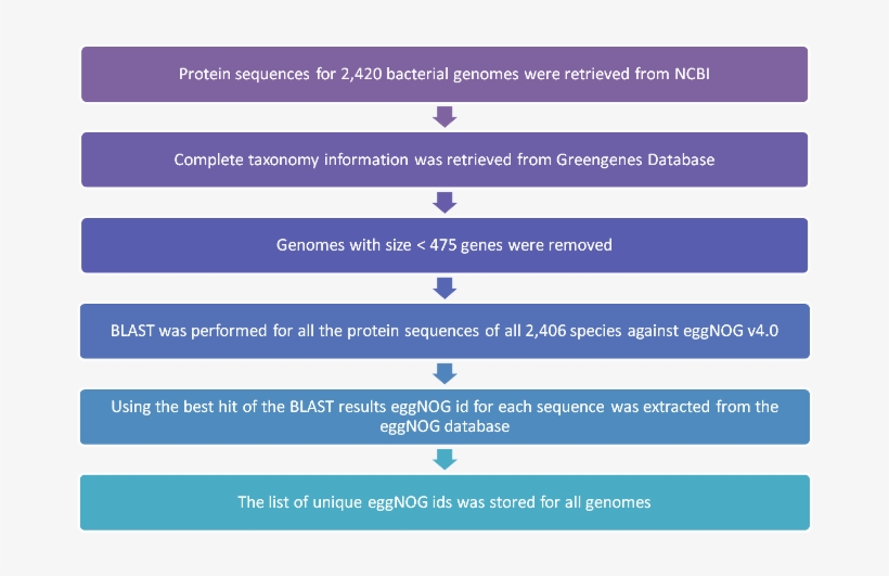 Blast Was Performed For All Proteins Of The Selected, transparent png #6940050