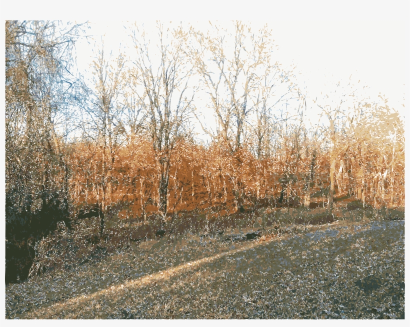 This Free Icons Png Design Of Missouri Nature 2, transparent png #6940363