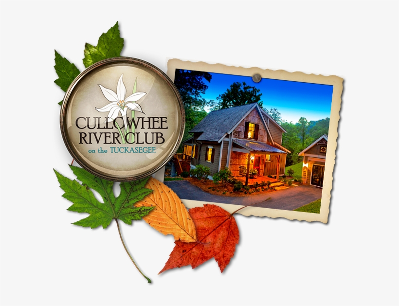 Logo-image, transparent png #6944850
