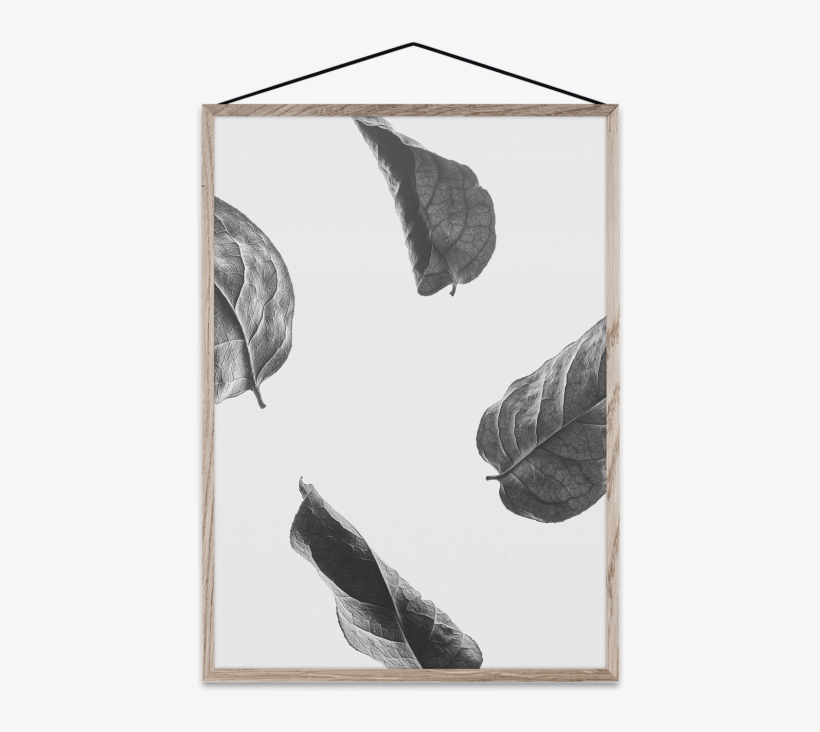 Floating Leaves, transparent png #6945251