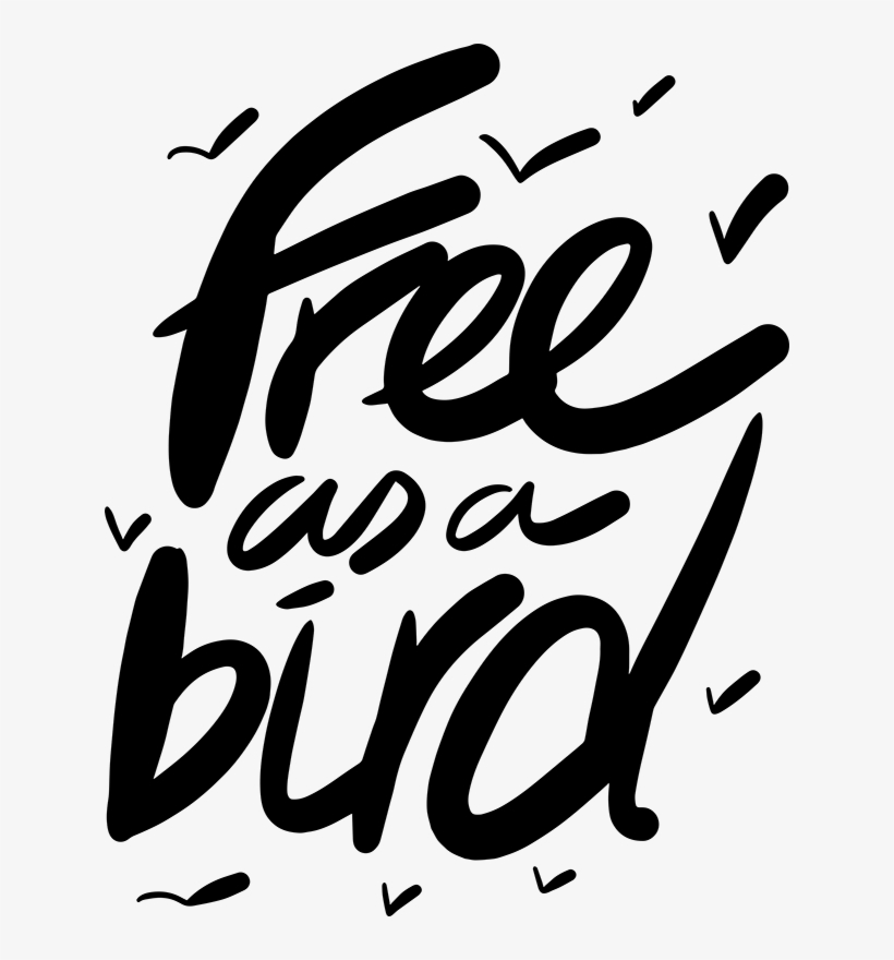 Vinilo Pájaros Volando Free As A Bird, transparent png #6945324
