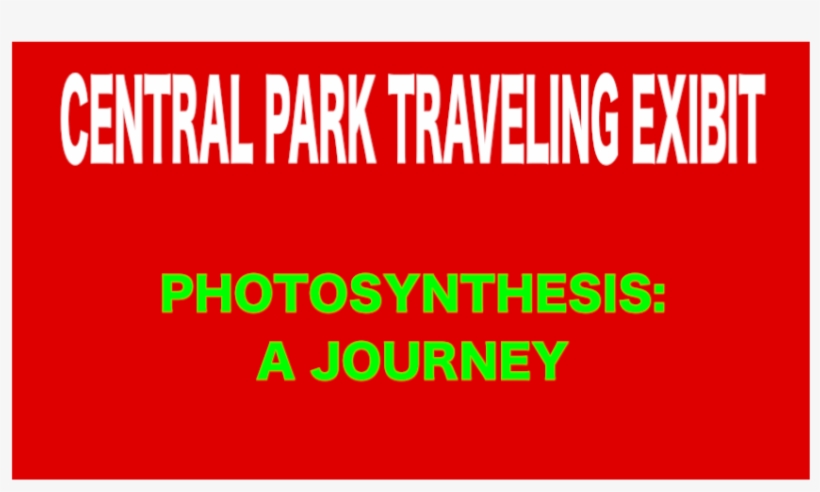 Photosynthesis, transparent png #6947912