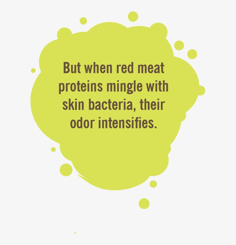Red Meat Can Release Odorless Proteins Through Perspiration, transparent png #6950051