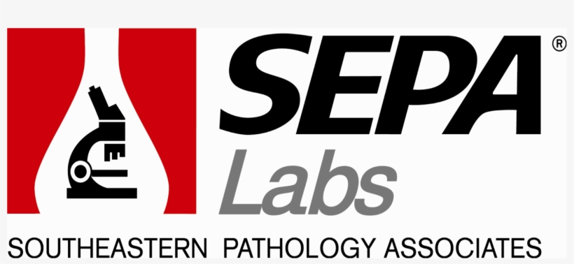 Pay Now Png, transparent png #6952200