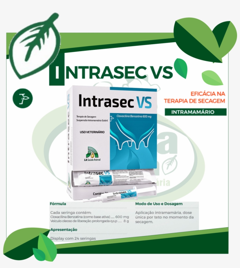 Seringa Png, transparent png #6952374