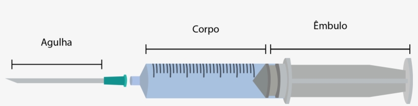 Em Seguida Montar A Seringa, Colocando O Corpo Na Mão, transparent png #6952521