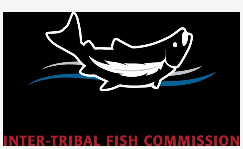 River.png, transparent png #6953035