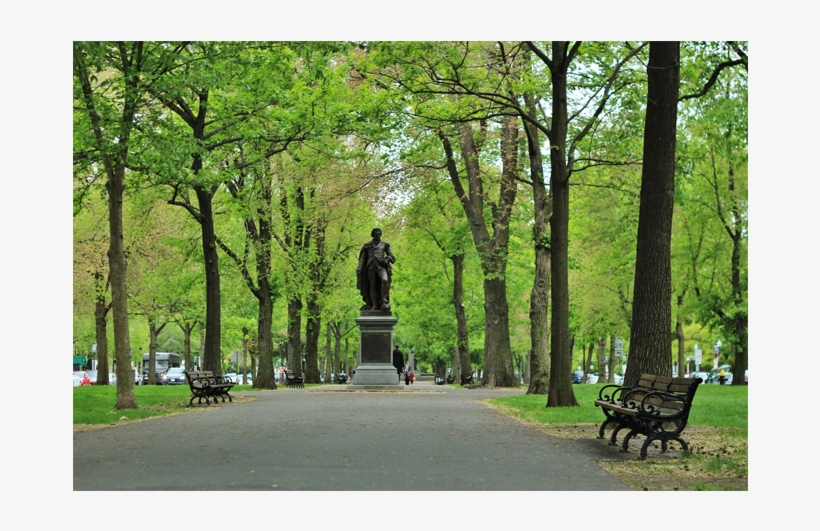 Boston Common Statue, transparent png #6953896