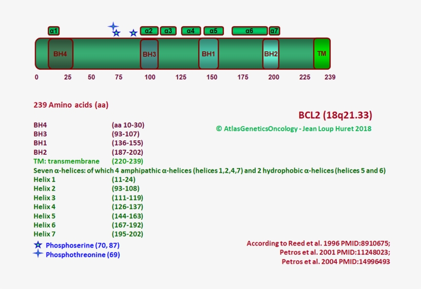 Description, transparent png #6955091