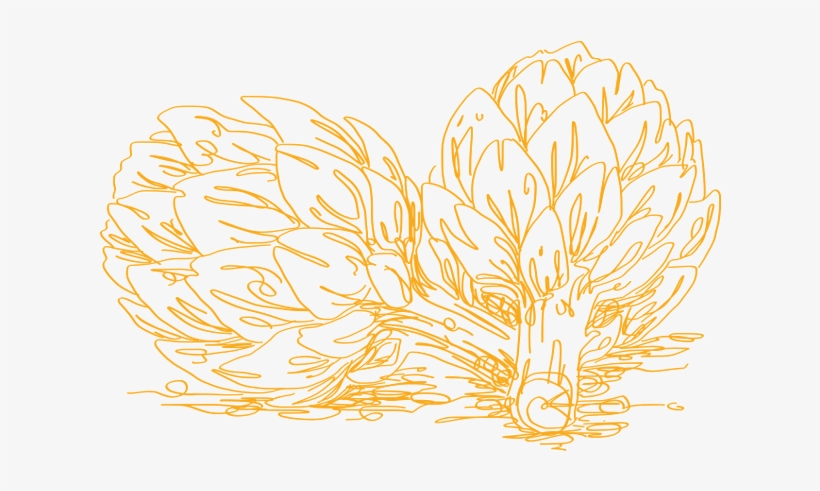 Artichokedrawing, transparent png #6958046