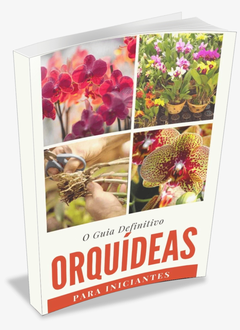 Baixe Agora Mesmo O Manual De Orquídeas Guia Definitivo, transparent png #6960438