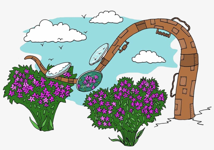 The Clockwork Garden, transparent png #6965068