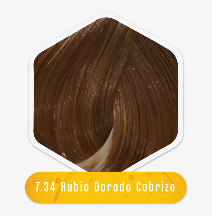 Rubios Y Dorados, transparent png #6967085
