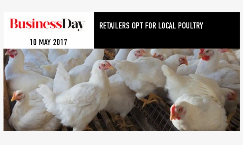Retailers Opt For Local Poultry, transparent png #6968724