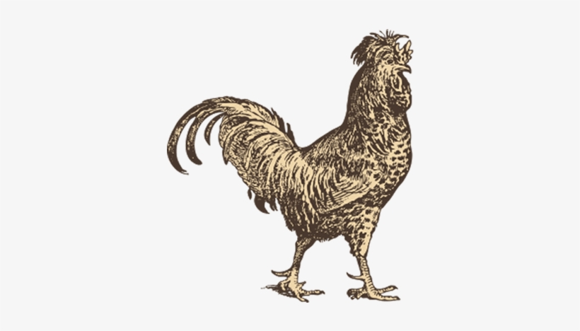 Poultry, transparent png #6969017