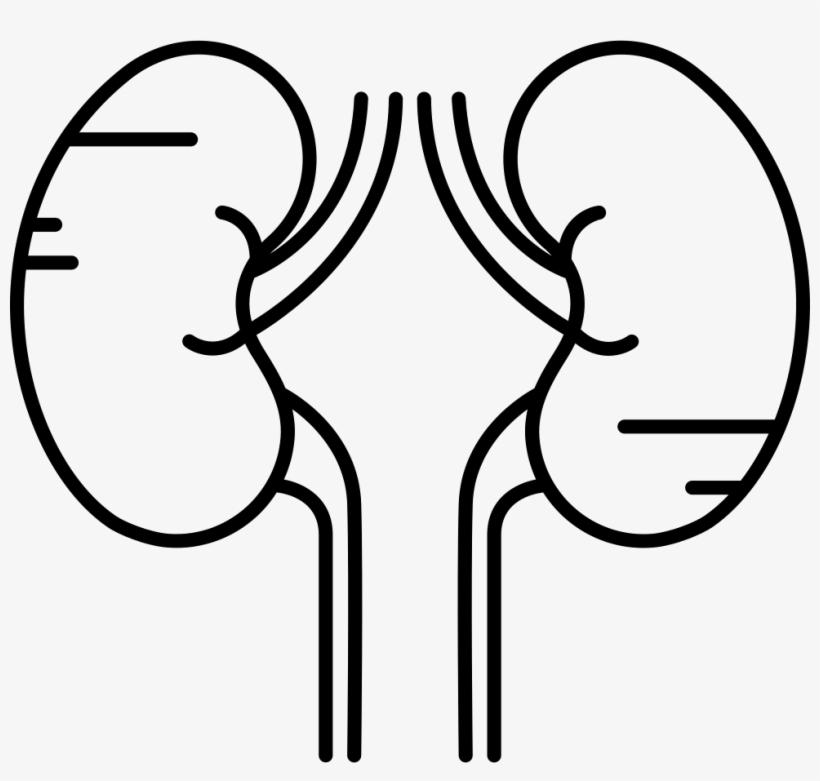 Png File, transparent png #6969067