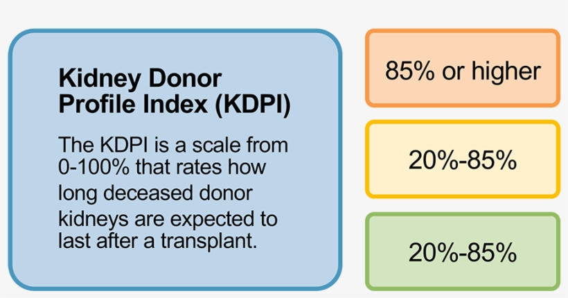 Kidneys That Have Higher Kdpi Scores Come From Deceased, transparent png #6969621