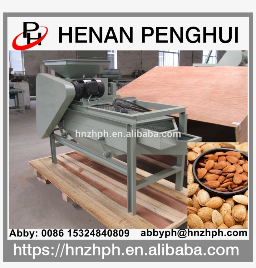 Widely Used Almond Hazelnut Palm Kernel Cracking Machine, transparent png #6971457