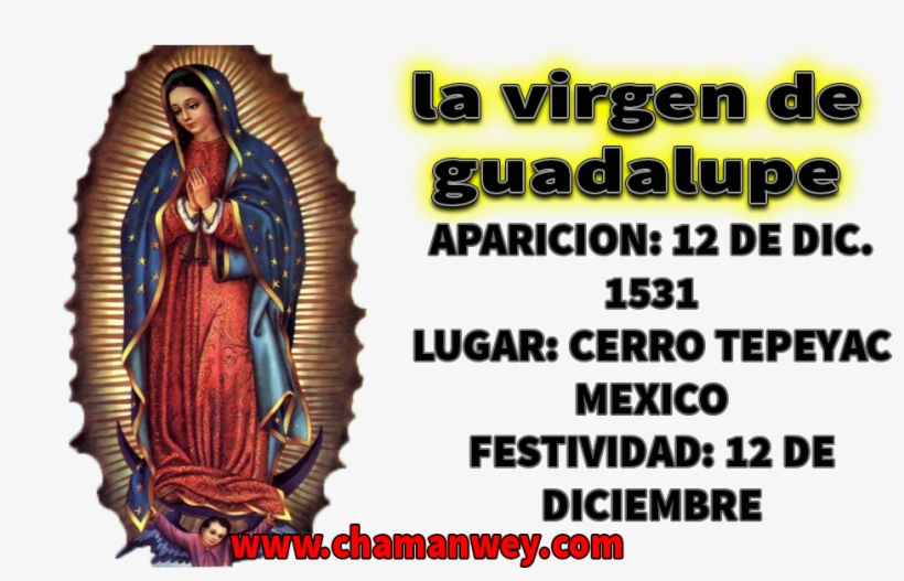 La Virgen De Guadalupe, transparent png #6971597