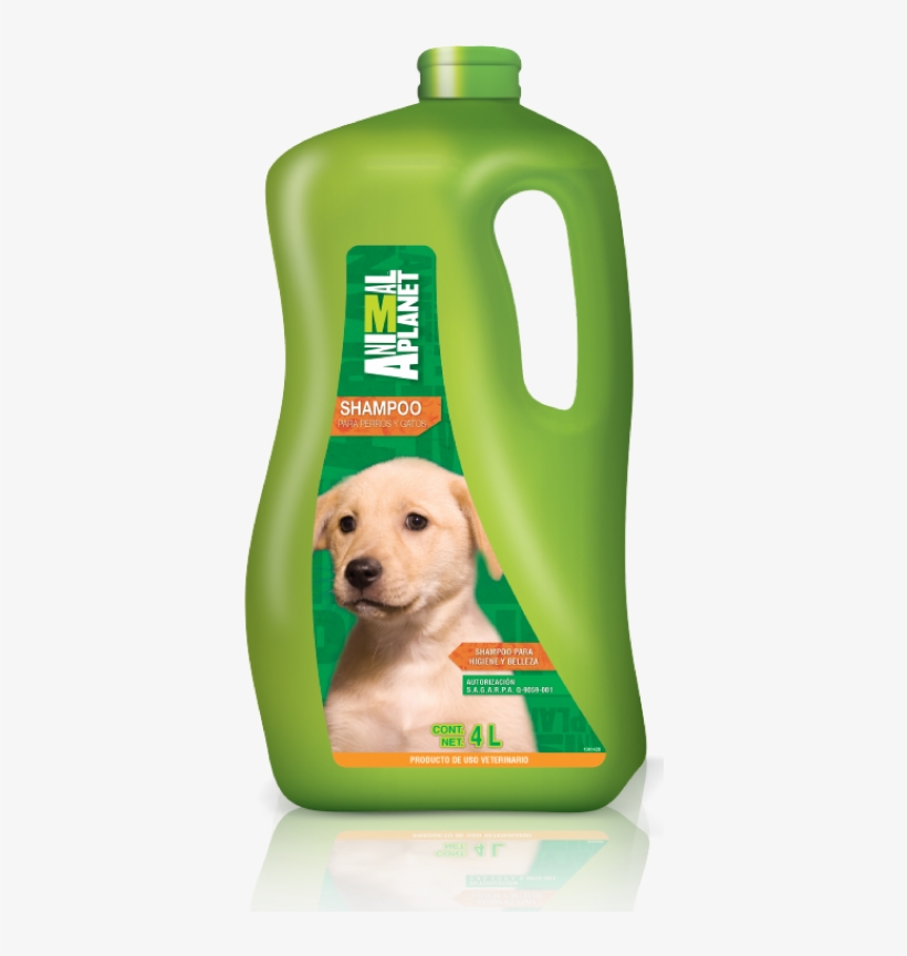 4 L, transparent png #6975838
