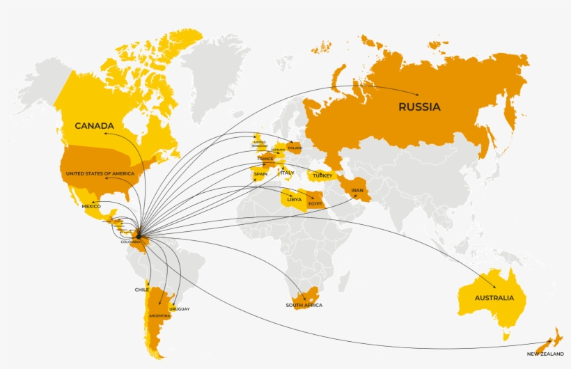 La Ejecución Profesional Y Las Mejores Recomendaciones, transparent png #6976479