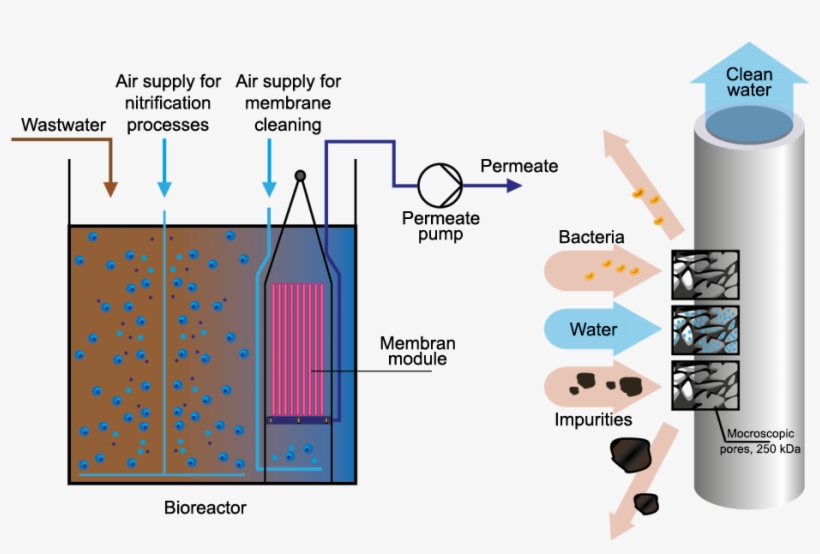 To Announce The Appearance Of A Completely New For, transparent png #6977777