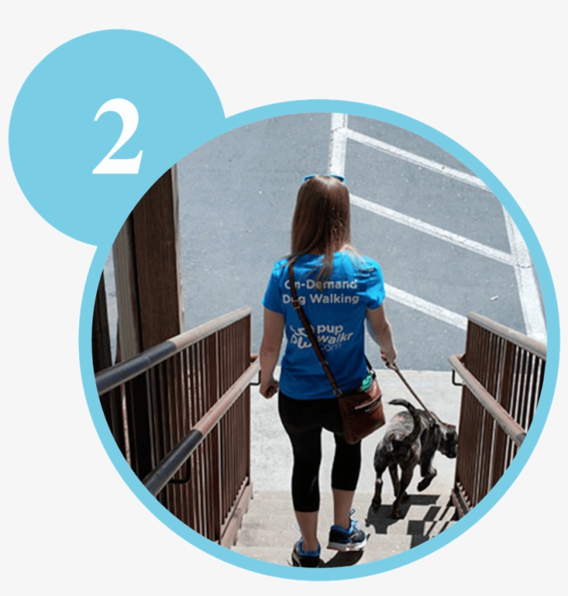 Small Pupwalkr Step 2, transparent png #6980136