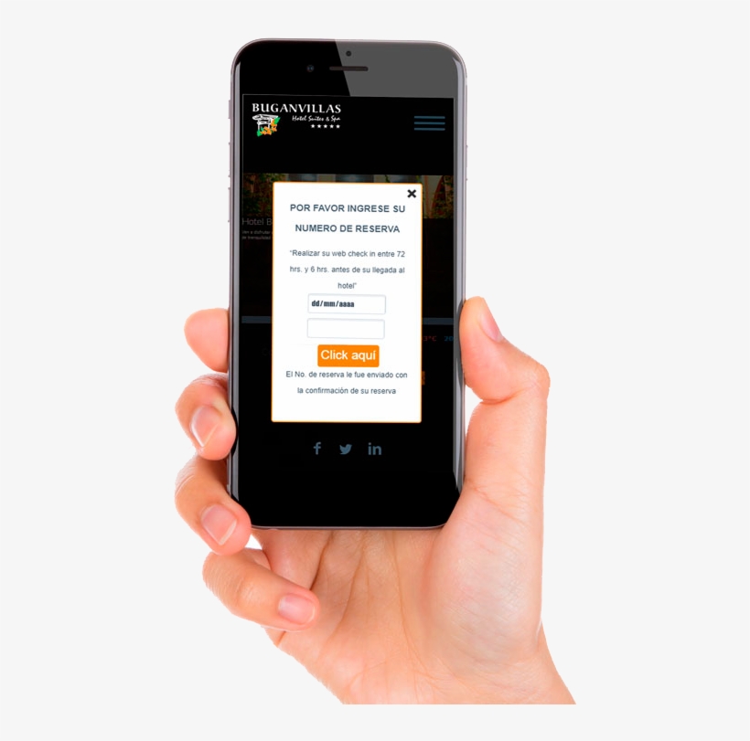 When You Fill Up This Form, You Will Only Need To Show, transparent png #6980188