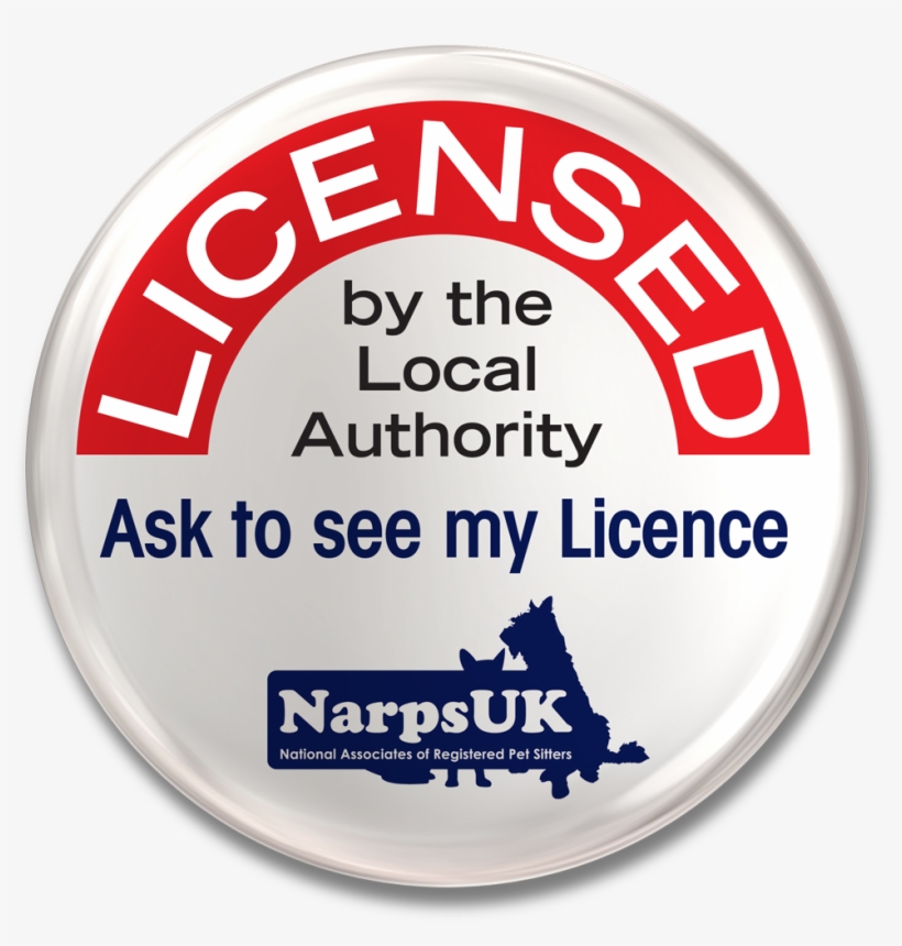 Dog Walking, transparent png #6980290