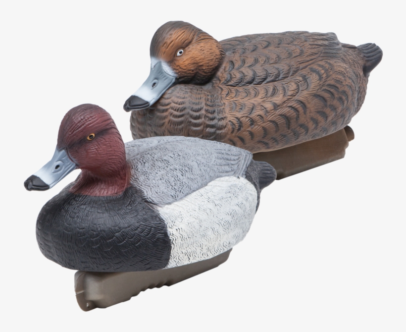 Final Approach Hd Floating Redhead Decoys, transparent png #6981312