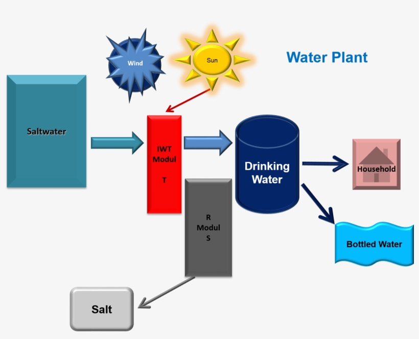 Water Plant, transparent png #6982462