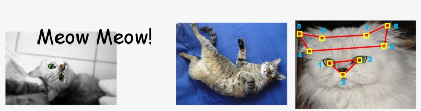 Cat Meow Png, transparent png #6985039