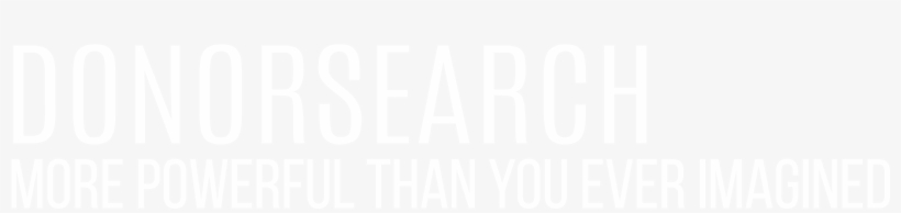 Donorsearch Provides Accurate And Actionable Information, transparent png #6989779
