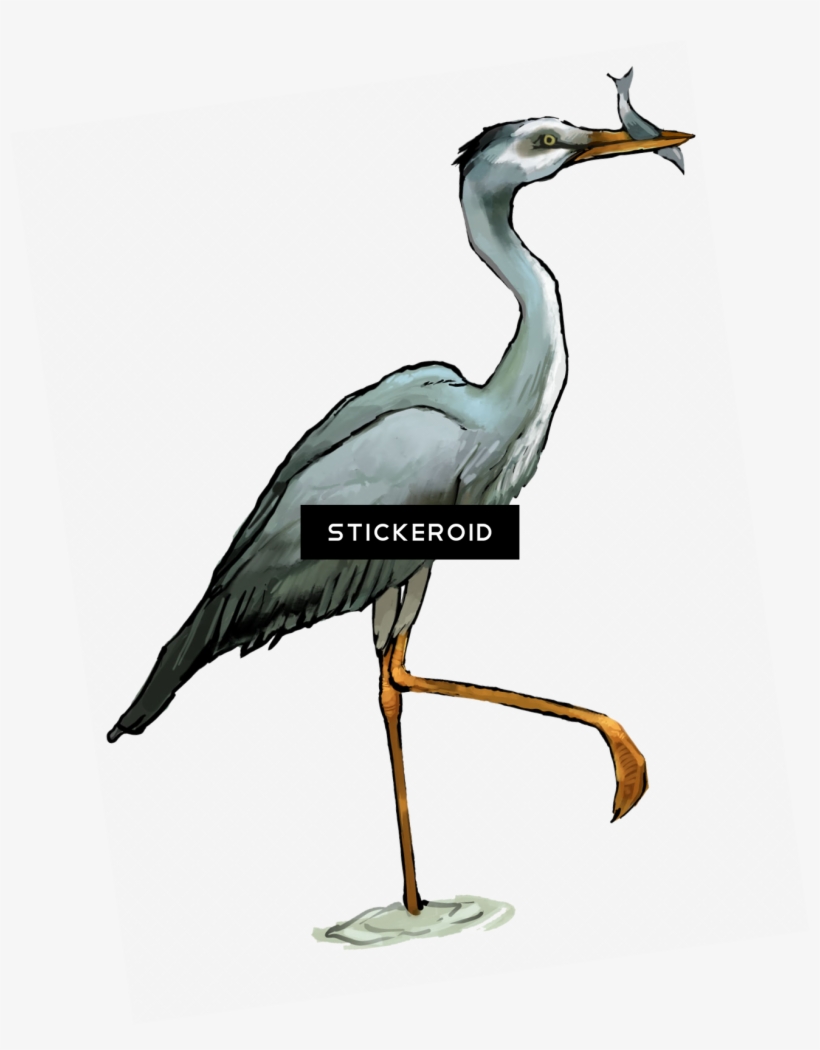 Heron Birds, transparent png #6990404