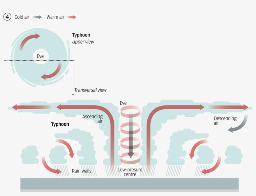 The Science Of Typhoons, transparent png #6990782