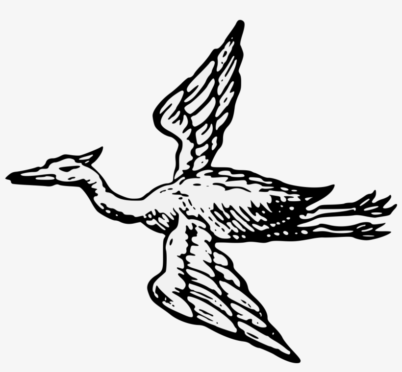 Details, Png, transparent png #6990894