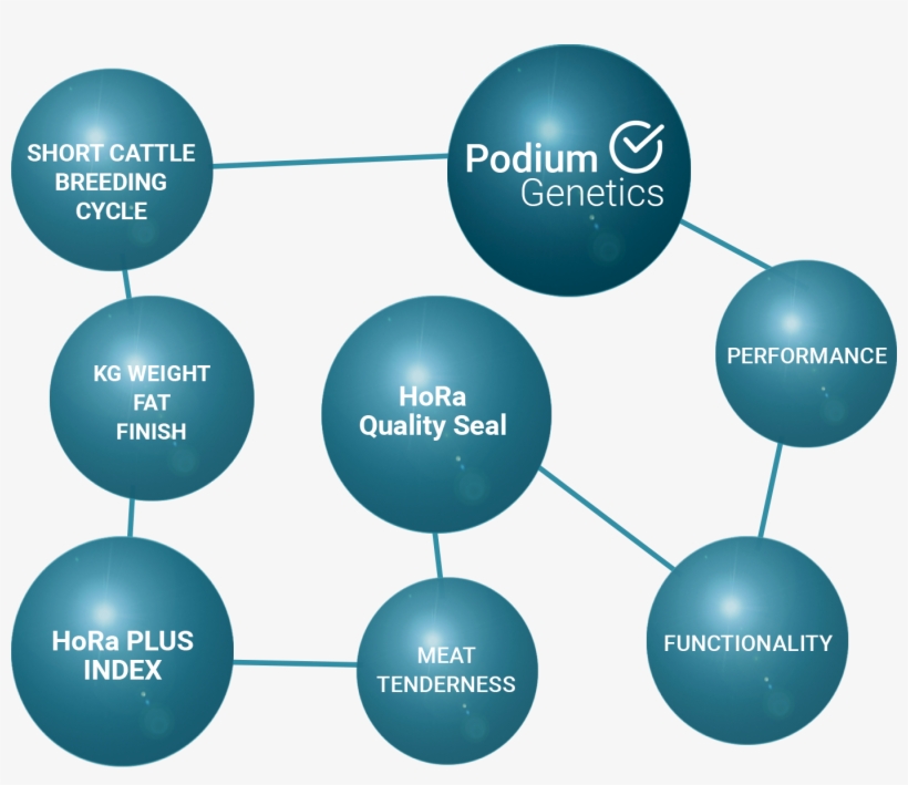 2018 Hora Höfig Ramos, transparent png #6991793