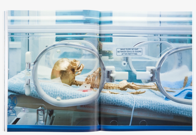 Damien Hirst Beyond Belief Signed Catalogue, transparent png #6992717