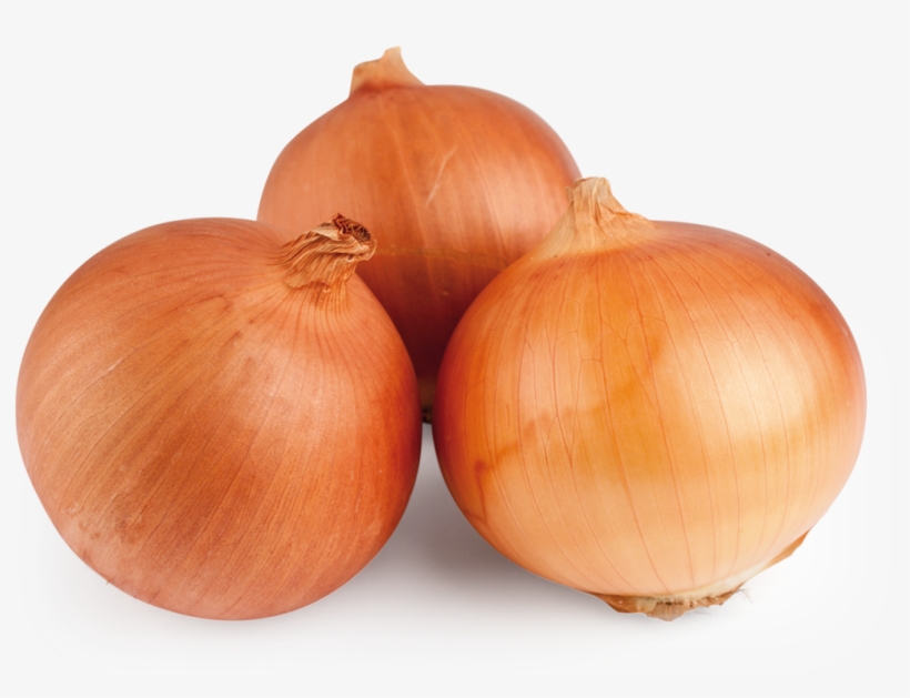 Grano De Oro Onion, transparent png #6993113