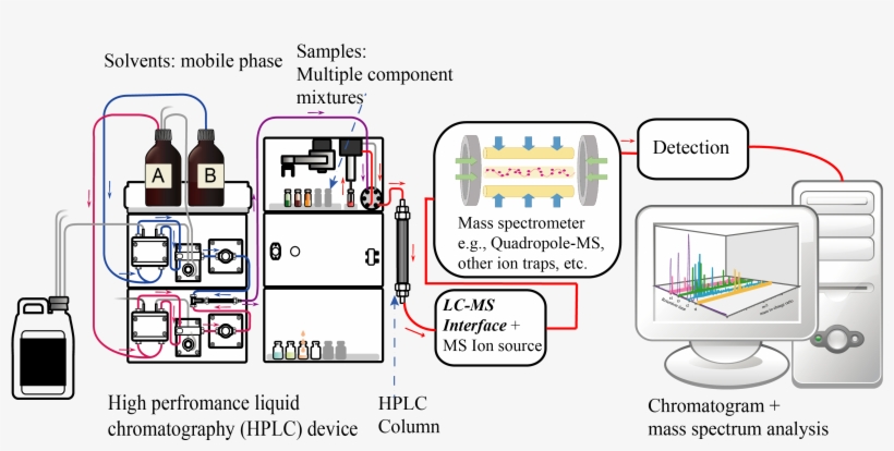 Liquid Chromatography Tandem Mass Spectrometry Diagram, transparent png #6993245