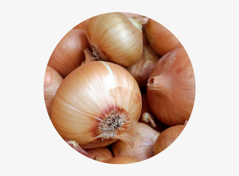 ¿qué Variedad Cultivar, transparent png #6993621