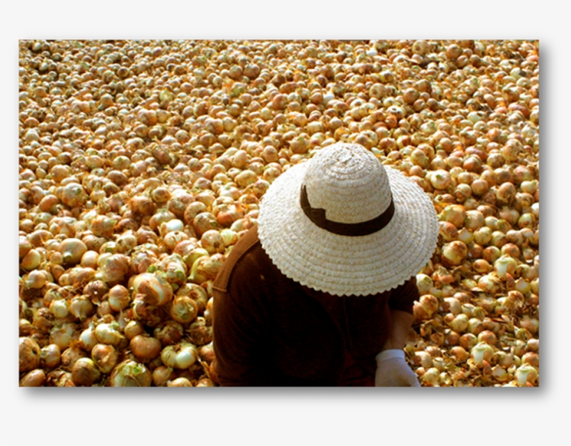 Un Domingo Con Mamá En El Monumento Al Campesino, transparent png #6994155