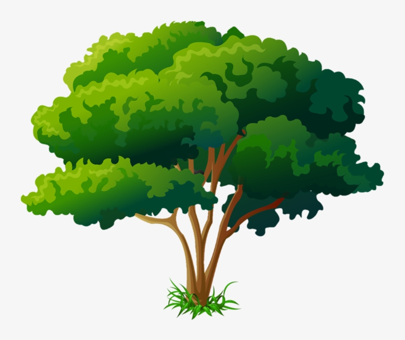 Arbre Png, transparent png #6996006