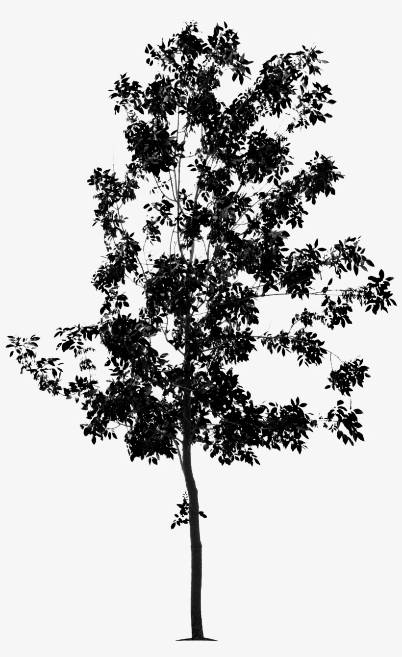 Partager Via Un Média Social, transparent png #6996293