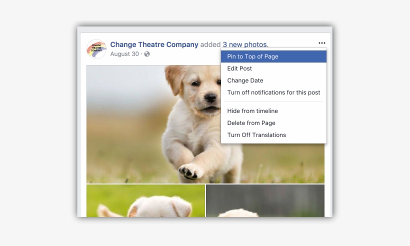 Click Pin To Top Of Page And The Post Will Reappear, transparent png #6996587