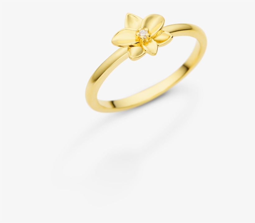 Passe O Mouse Para Ampliar, transparent png #6997669