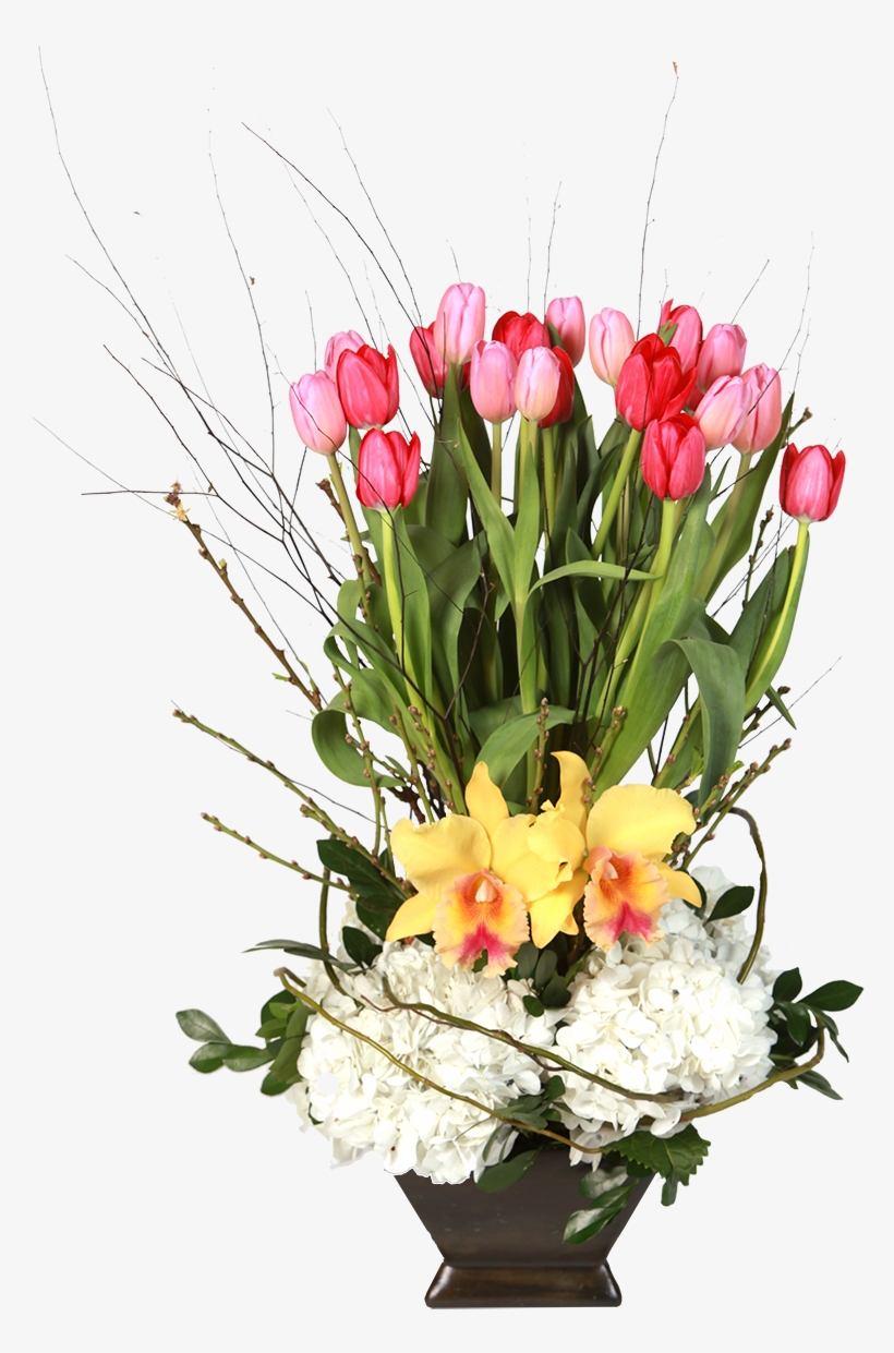 Orquidea Png, transparent png #6997721