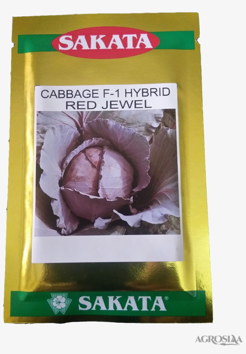 Sakata, transparent png #6998346