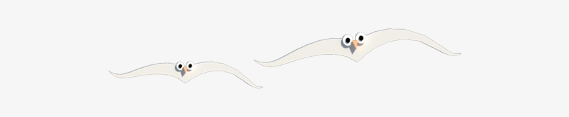 Gaviotas, transparent png #6998943